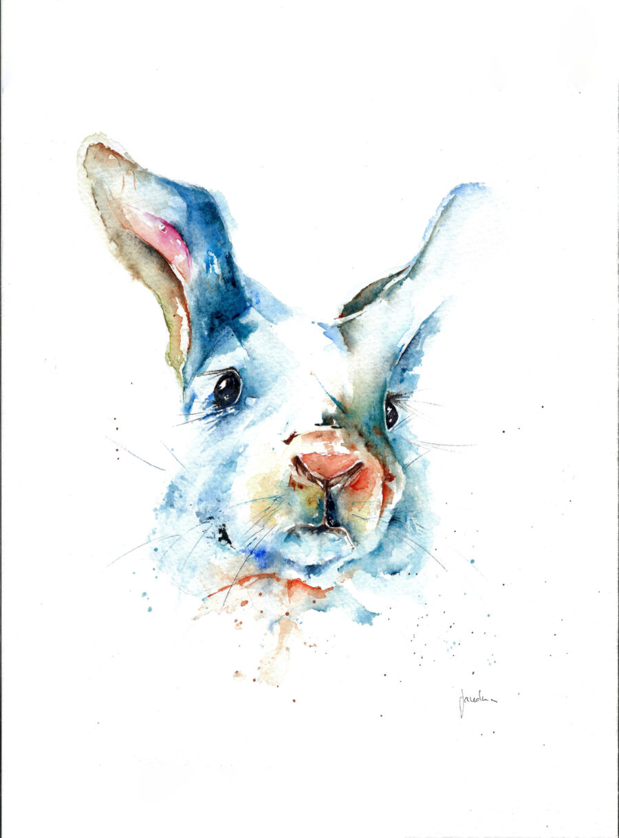 Ilustración en acuarela de un conejo con expresión curiosa, pintado en tonos azules y cálidos, sobre fondo blanco con pinceladas sueltas y expresivas.