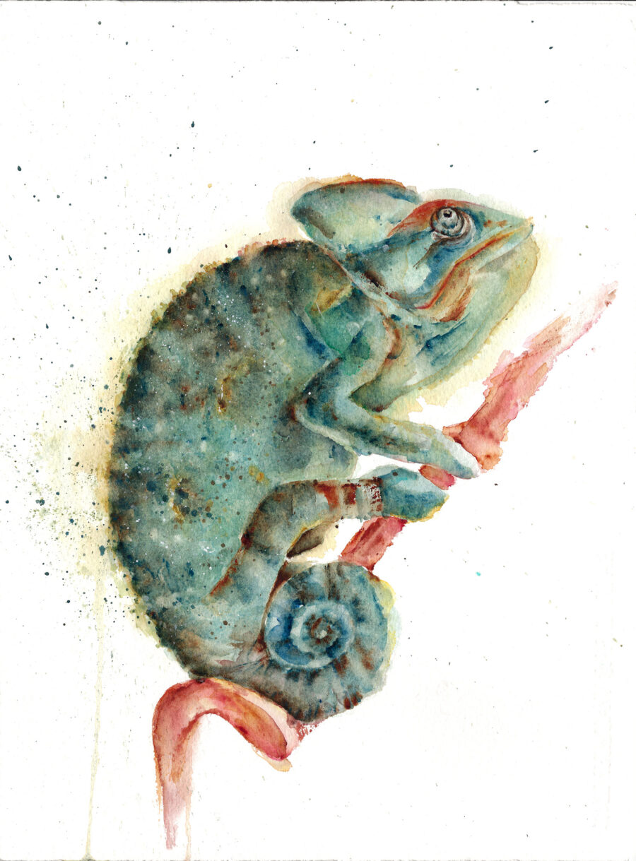 Acuarela de un camaleón azul y verde posado sobre una rama rojiza, con pinceladas expresivas y detalles vibrantes