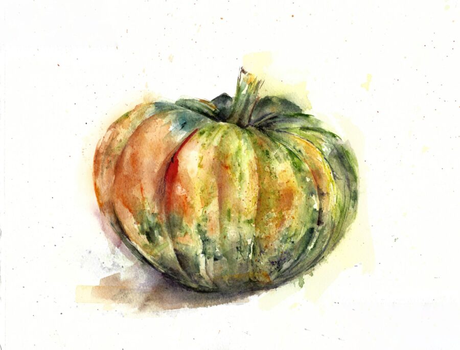 Acuarela de una calabaza con tonos naranjas, verdes y amarillos, con detalles texturizados sobre un fondo blanco.