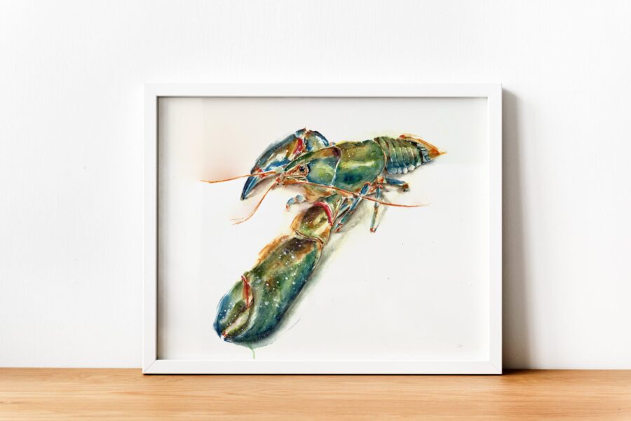 Cuadro enmarcado con pintura en acuarela de una langosta, con detalles realistas y colores intensos sobre un fondo blanco.