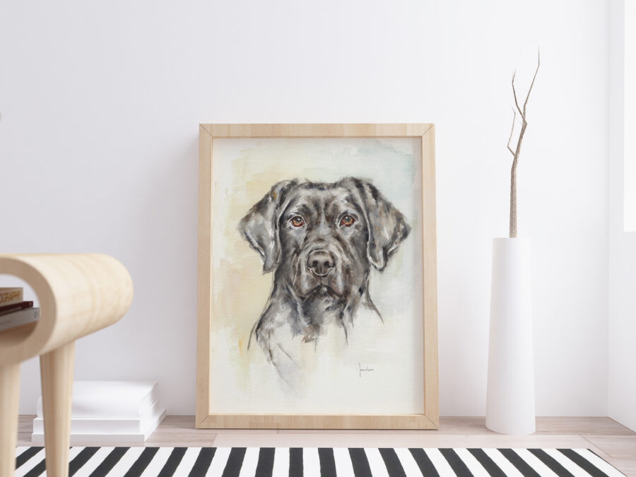 Pintura en acuarela de un perro negro con ojos marrones, expresivo y detallado sobre un fondo claro.