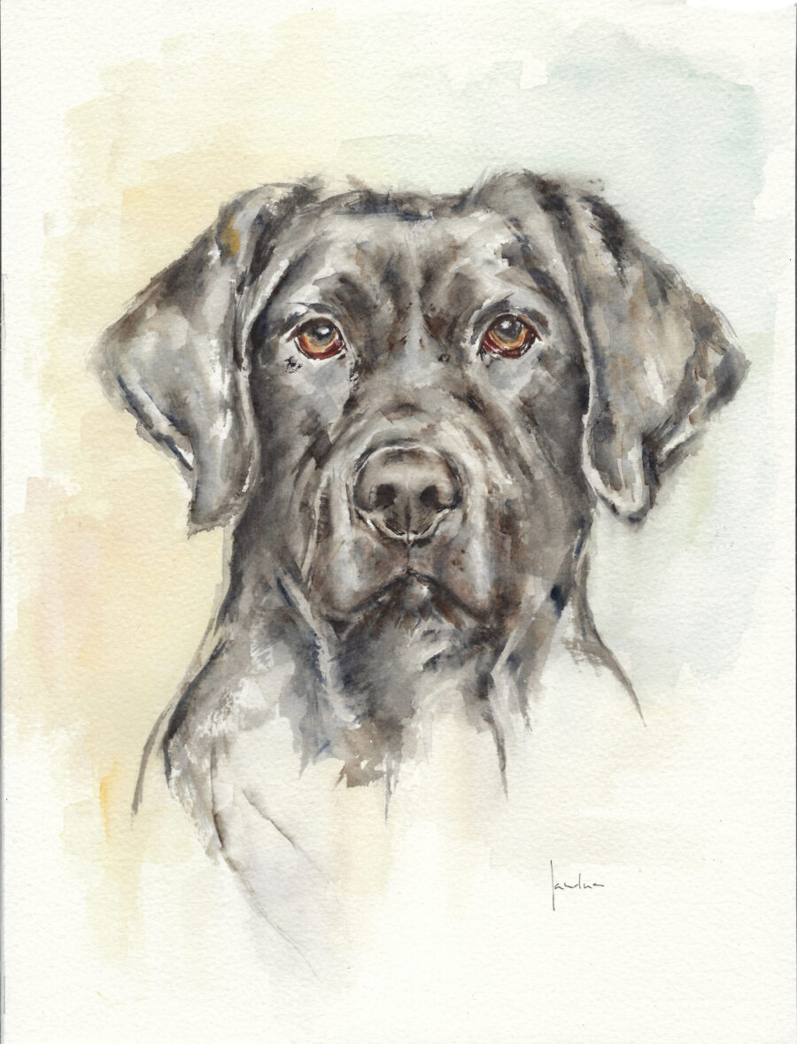 Pintura en acuarela de un perro negro con ojos marrones, expresivo y detallado sobre un fondo claro