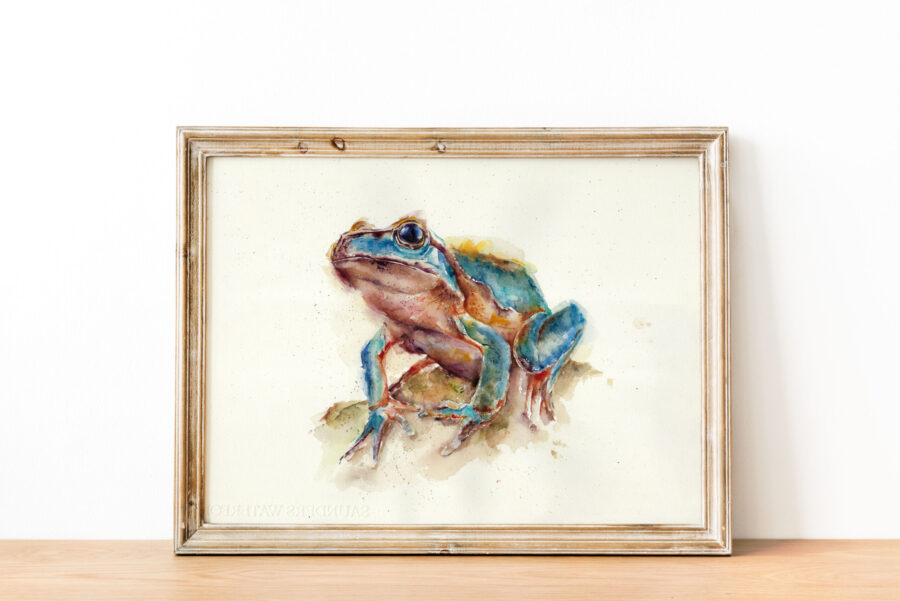 Cuadro enmarcado con una acuarela de una rana azul, pintada con detalles realistas y tonos vibrantes, apoyada sobre una superficie terrosa.