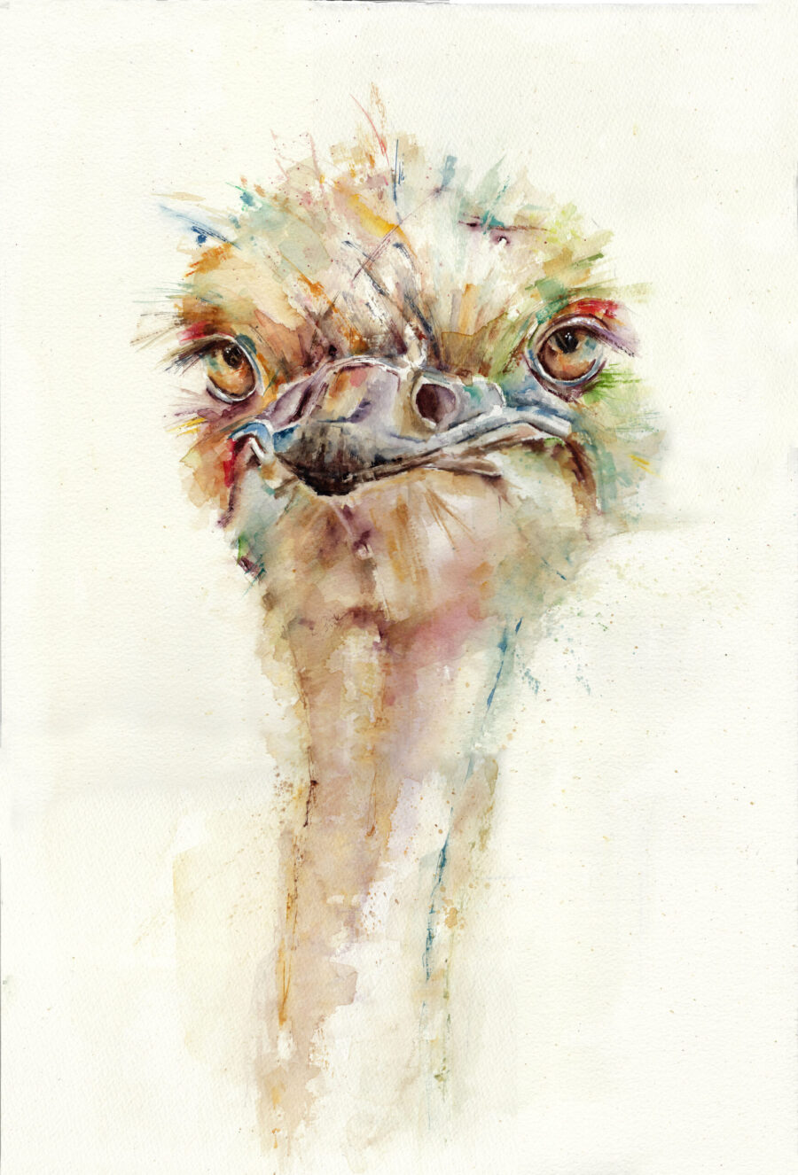 Acuarela de un avestruz con mirada intensa y colores vibrantes, capturando su expresión única en un estilo artístico.