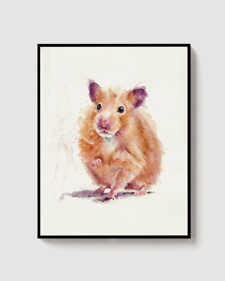 Hamster