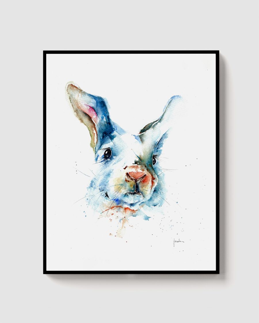 Conejo azul