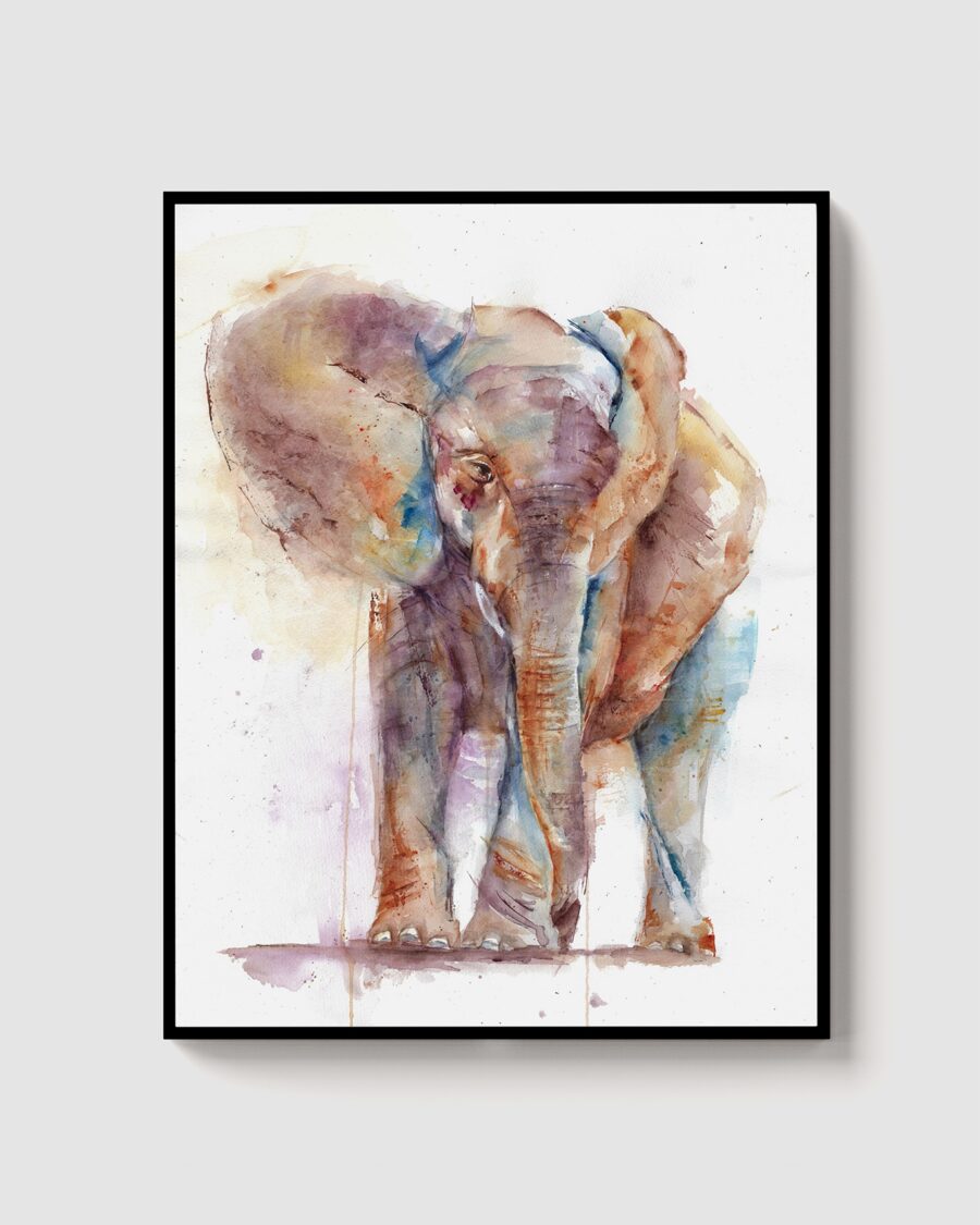 Elefante IV