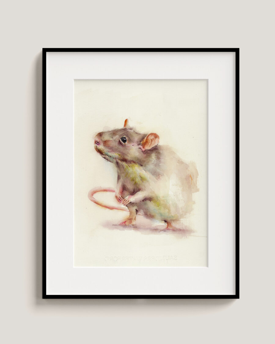 Ratita