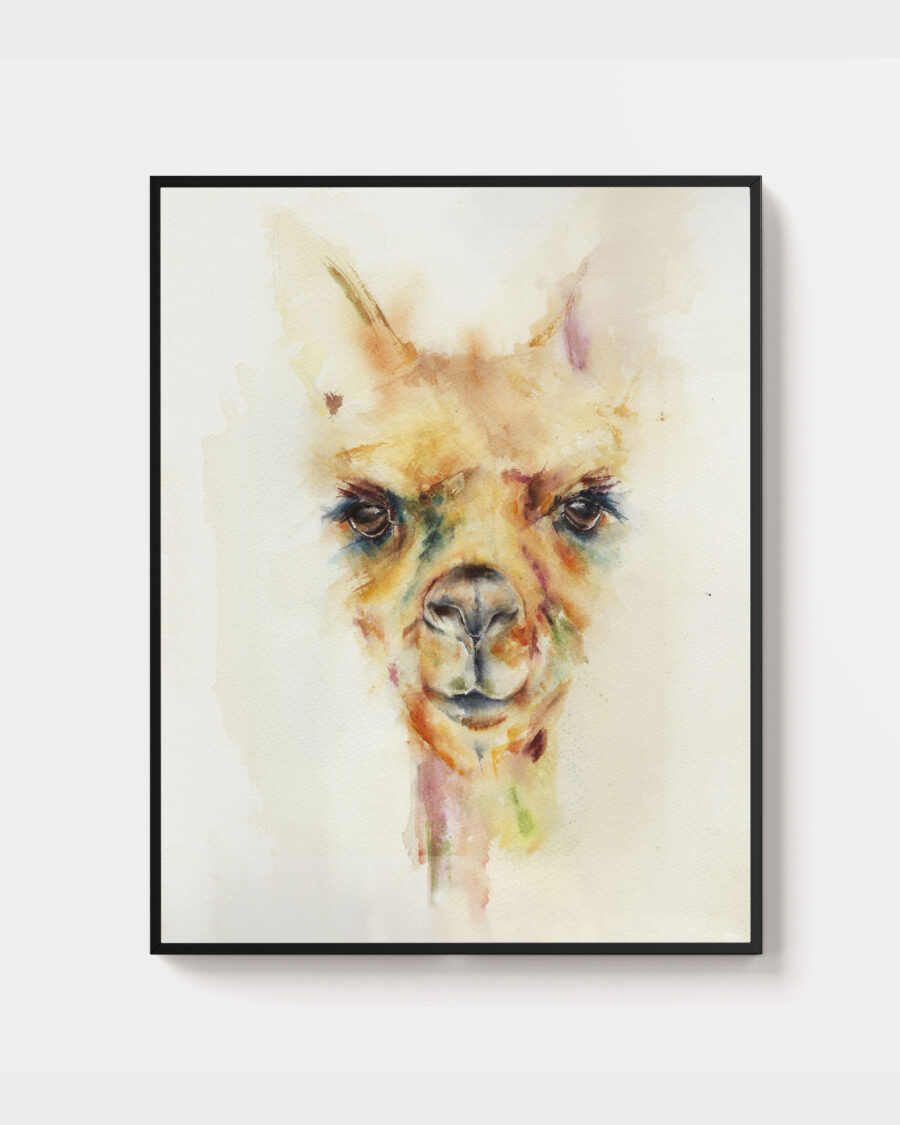 Llama