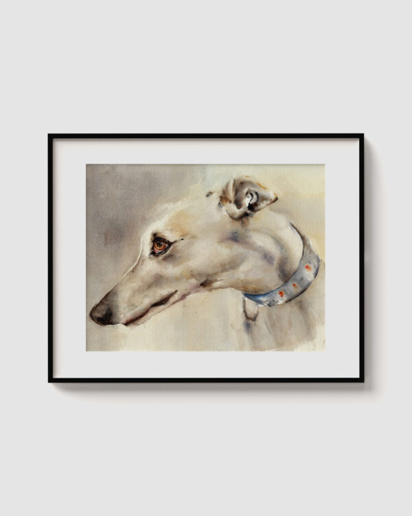Galgo