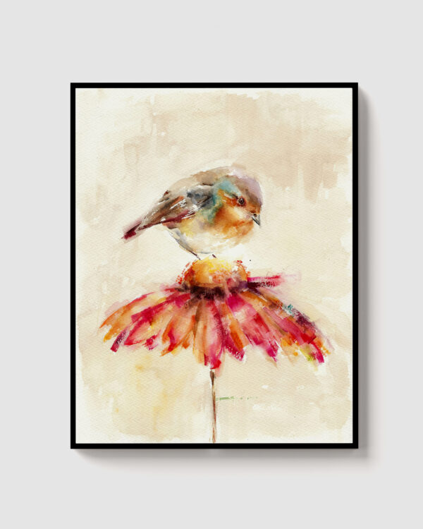 Petirrojo y margarita