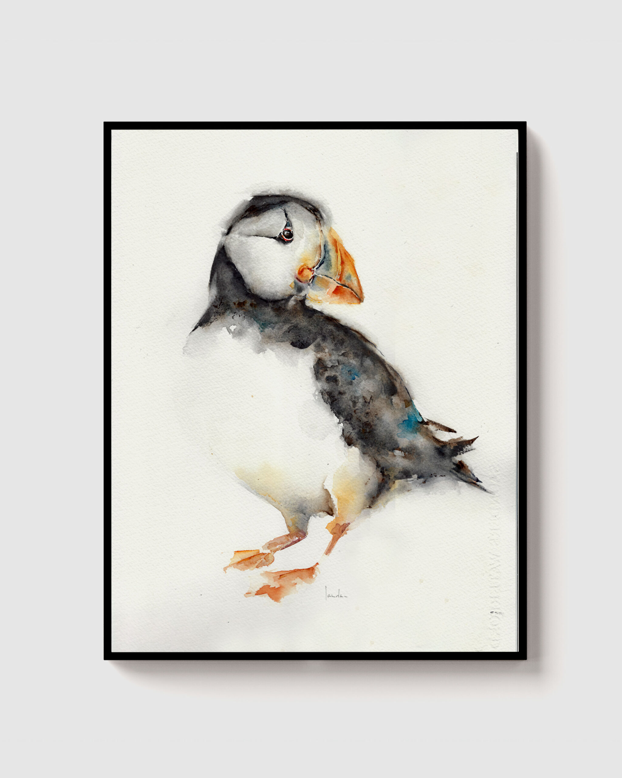 Acuarela de un frailecillo enmarcada en negro sobre fondo blanco, estilo minimalista con detalles en naranja y negro.
