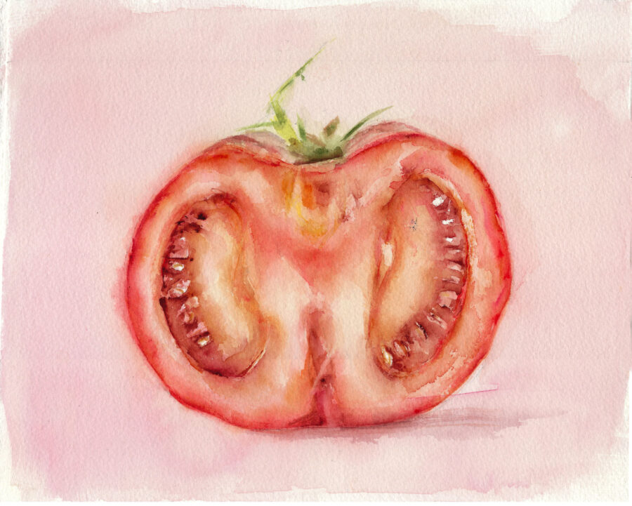 Tomate - Imagen 2