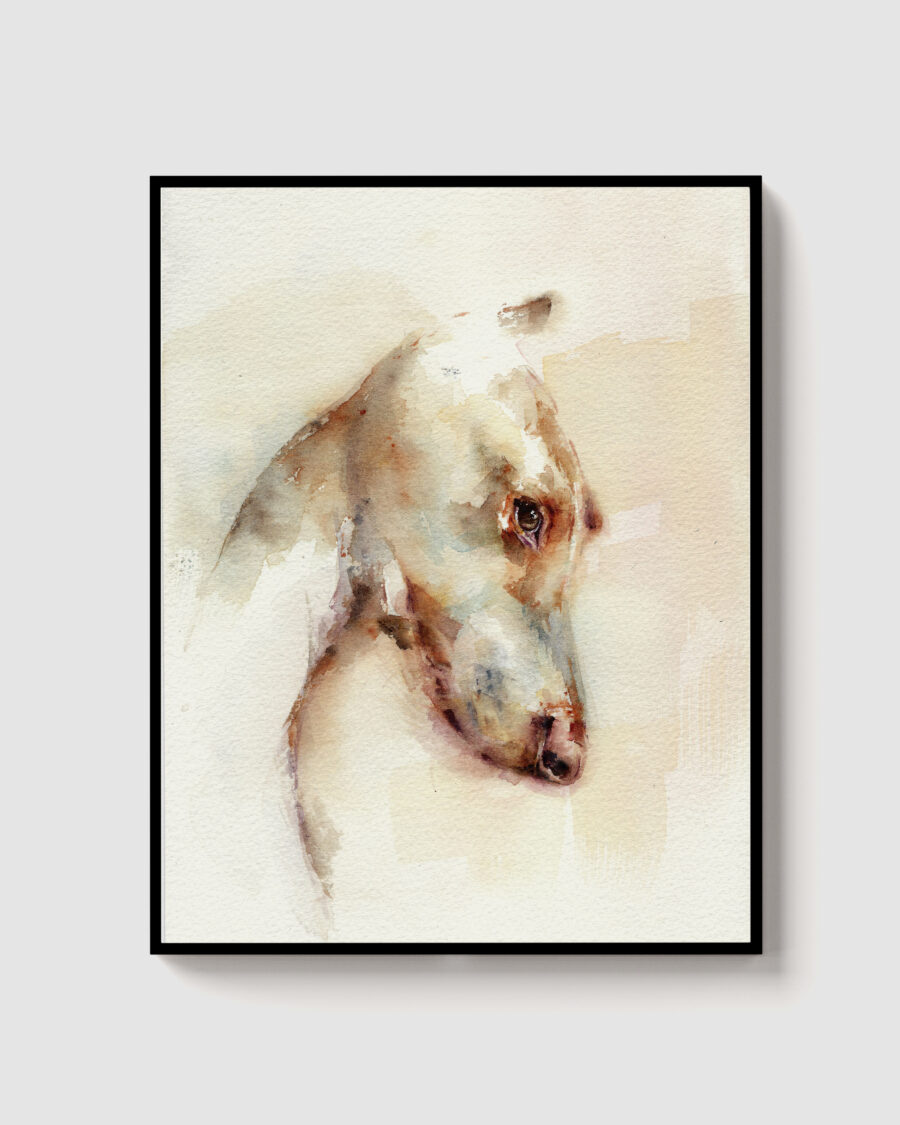 Galgo II