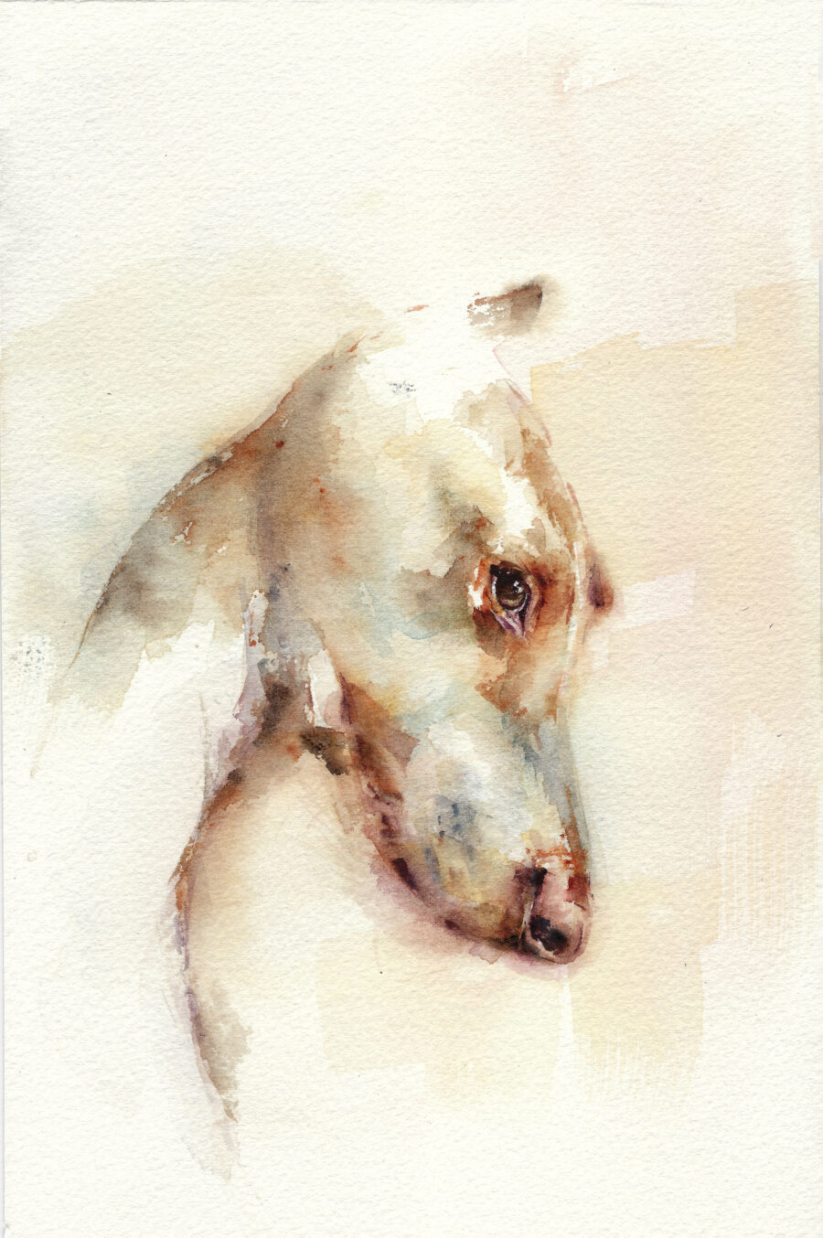 Galgo II - Imagen 2