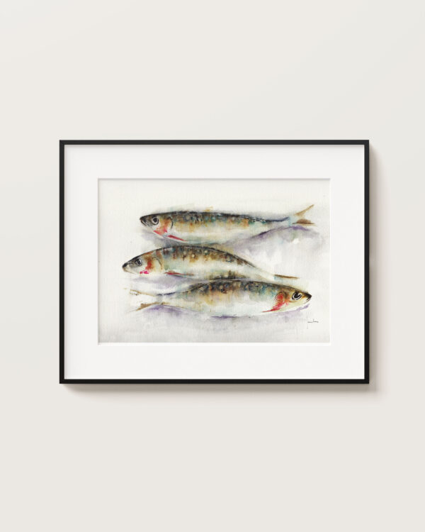 Sardinas