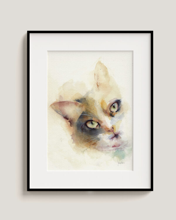 Gato verde