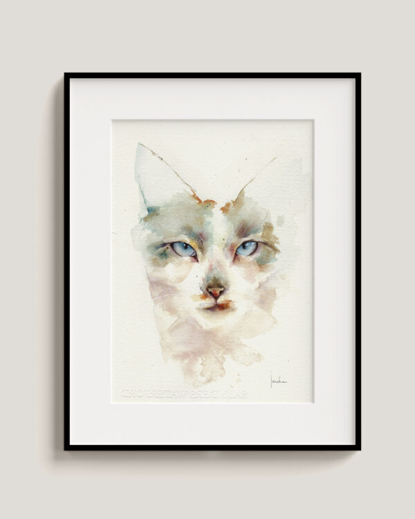 Gato turquesa