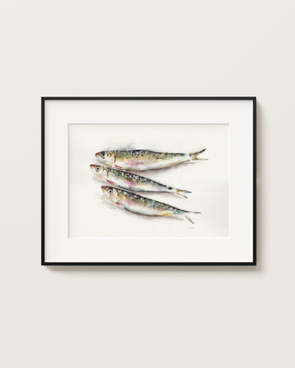 Sardinas II