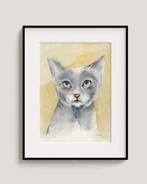 Gato azul
