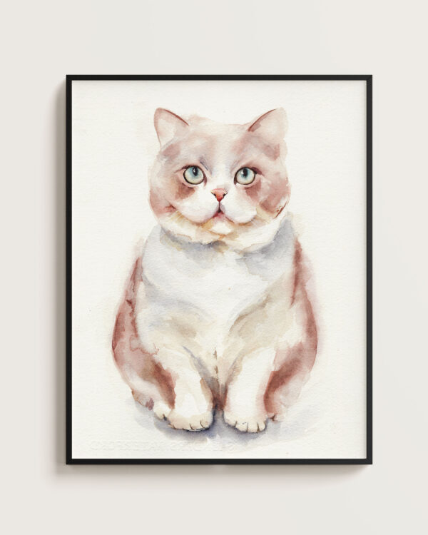 Gato rosa